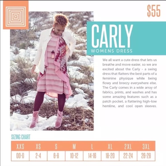 Lularoe Carly NWT - Picture 3 of 5